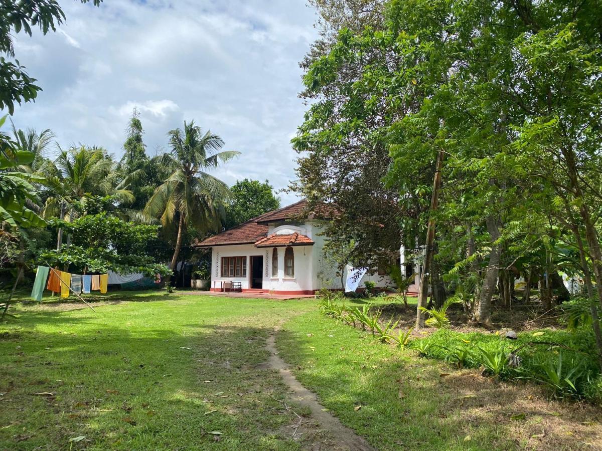 Siri Medura Surf Yoga Meditation Guesthouse And Hostel Weligama Exterior photo
